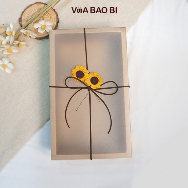 Hộp quà tặng vintage tự gấp màu nâu kraft nắp mờ dạng kéo H12 - Hộp không 20*10*6cm