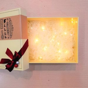 Hộp đựng quà giáng sinh Luvgift - Hộp + đèn led