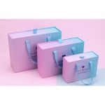 Hộp đựng quà xách tay ombre H49 - Trung 23.5*17*7cm