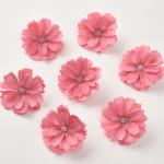 Cúc châu phi 4,5cm - Hồng đất 4