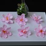 Lan 7,5cm - Hồng
