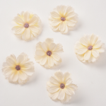 Cúc châu phi 4,5cm - Trắng 9