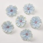 Cúc châu phi 4,5cm - Xanh dương 2