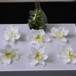 Lan 7,5cm - Trắng