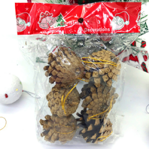Set 6 quả thông gỗ Noel tự nhiên GS04