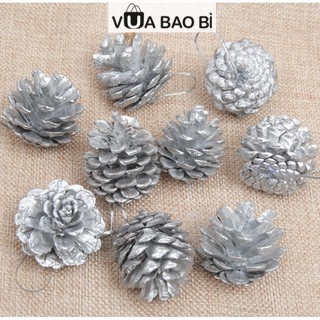 Quả thông khô tự nhiên trang trí Giáng sinh, hộp quà