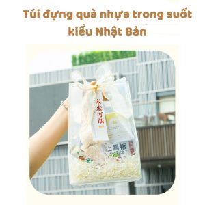 Túi nhựa trong suốt có quai kiểu Nhật TU27