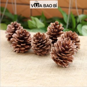 Quả thông khô tự nhiên trang trí Giáng sinh, hộp quà