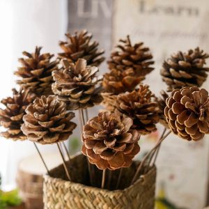 Cành quả thông khô decor dài 30cm (3 cành)