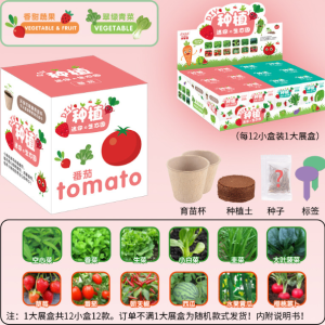 Blindbox kit trồng cây 4 món size nhỏ - Rau củ