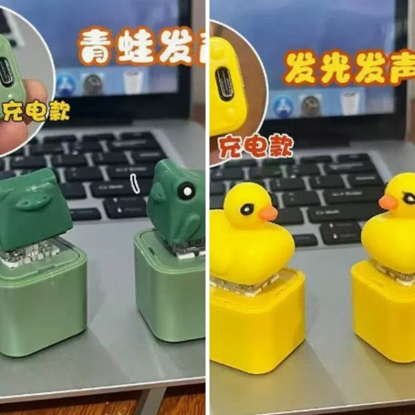 Móc khóa thú hài hước Hàn Quốc nhiều mẫu
