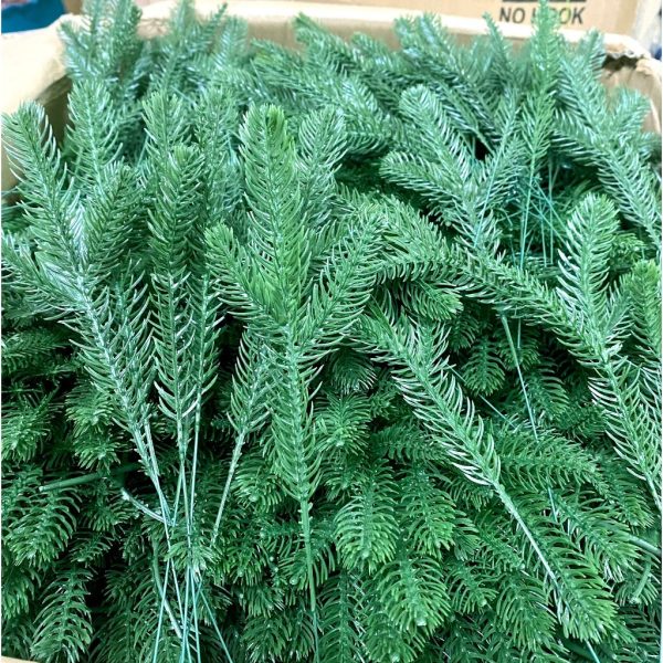 Cành thông trang trí Giáng sinh nhiều kiểu