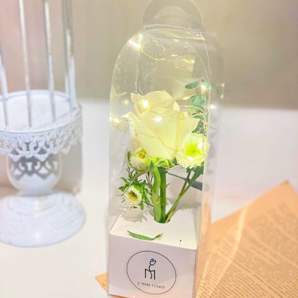Hộp quà cắm hoa tươi mica kèm đèn LED H61 - Trắng