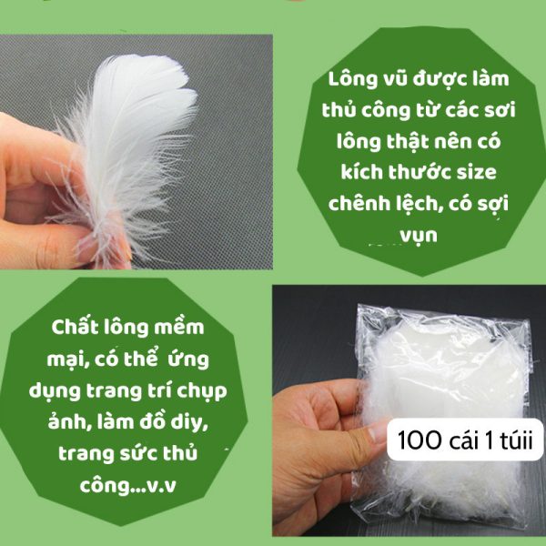 Lông vũ trang trí handmade nhiều màu (túi 50–100 cái)