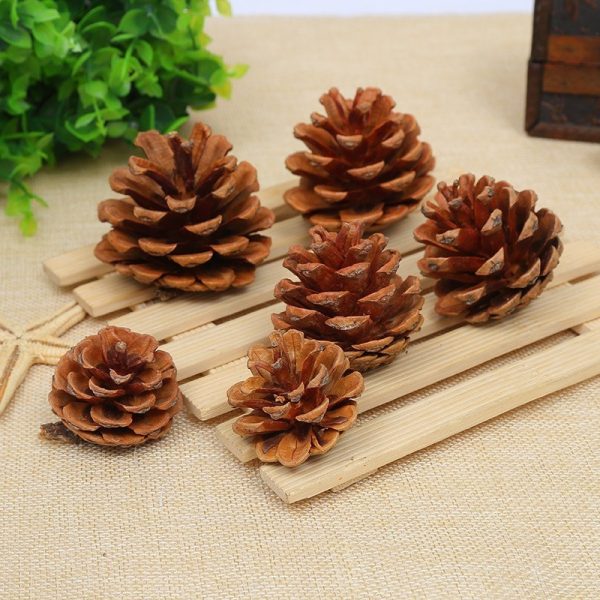 Quả thông khô tự nhiên trang trí Giáng sinh, hộp quà