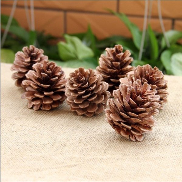 Quả thông khô tự nhiên trang trí Giáng sinh, hộp quà - Tự Nhiên S 3-5cm