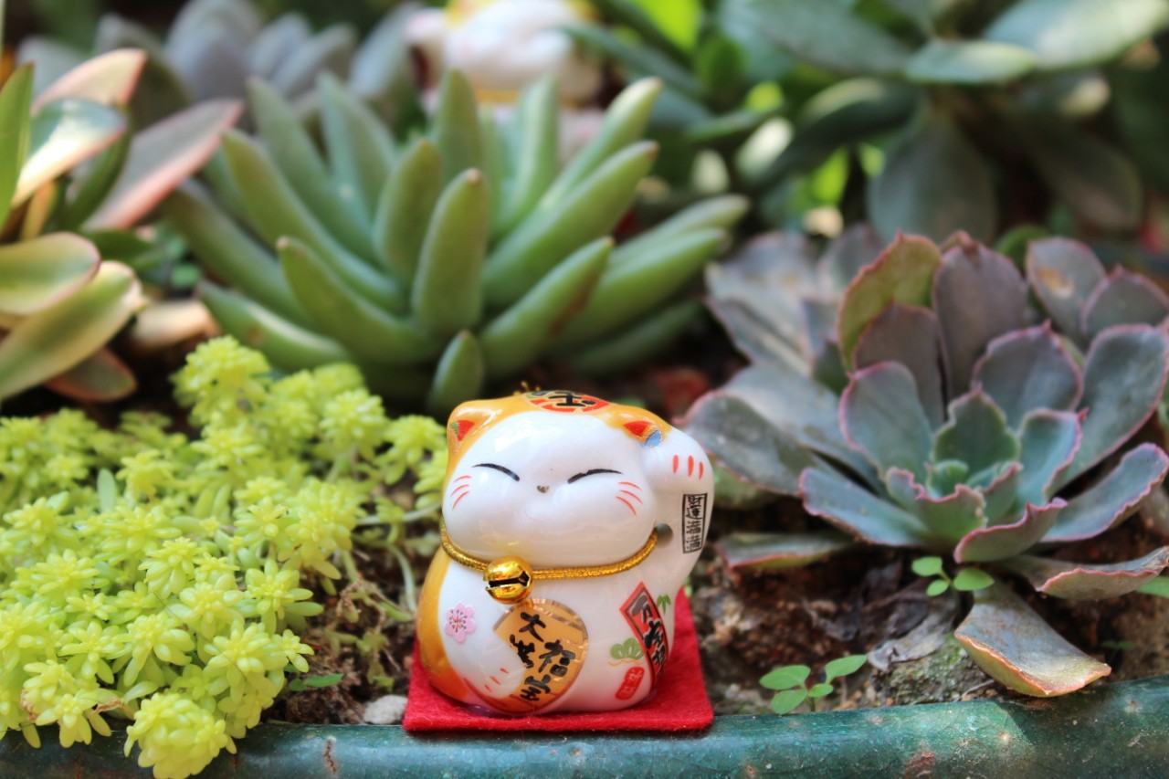 Bộ ngũ mèo thần tài mini Phúc Bảo Mãn Tại