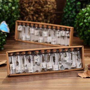 Set 12 lọ điều ước thủy tinh BL78