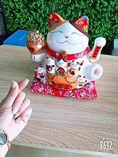 Ảnh thật khách chụp: Mèo vẫy tay - Đại phú đại quý 25cm