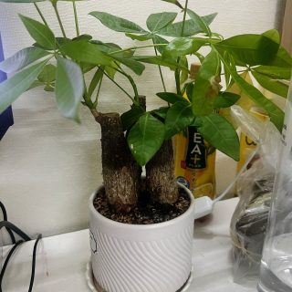 Ảnh khách hàng chụp 4