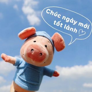 Ảnh khách hàng chụp 5
