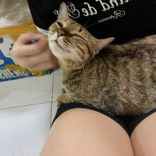 Ảnh khách hàng chụp 2